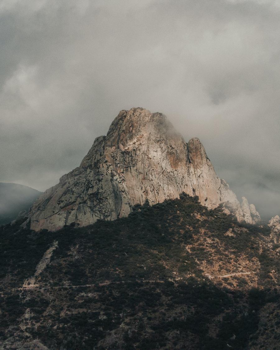 pexels-alessandro-avilés-renaldi-16359821